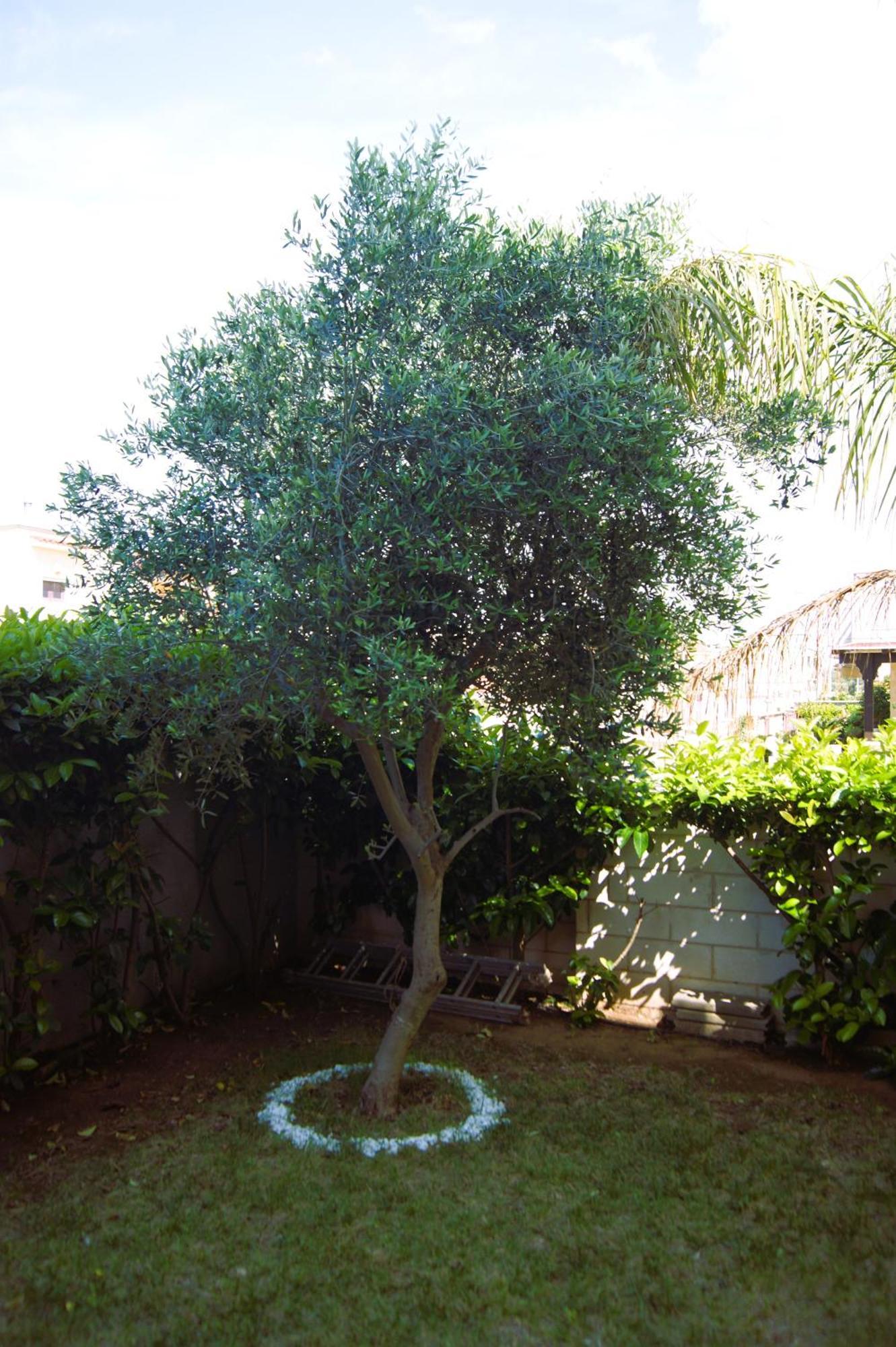 Casa Ulivo Pulsano Exterior foto